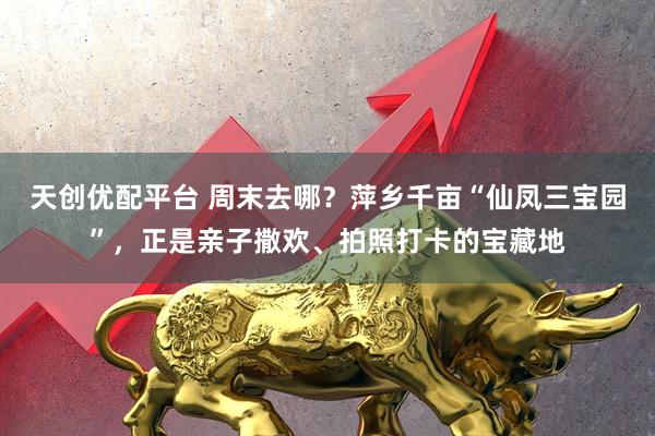 天创优配平台 周末去哪？萍乡千亩“仙凤三宝园”，正是亲子撒欢、拍照打卡的宝藏地