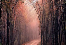 股票杠杆哪个平台最好用:上网配资炒股-“反内卷”持续加码 光伏行业半年报隐现回暖信号